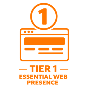Tier 1 (Basic) Website